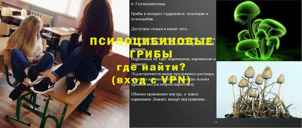 ешки Алзамай