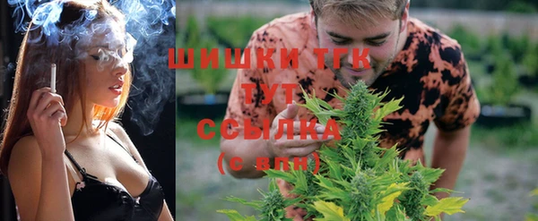 спиды Алексеевка