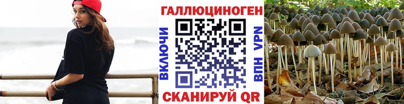 Псилоцибиновые грибы прущие грибы Бирюч