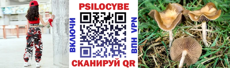 Галлюциногенные грибы прущие грибы  Бирюч 