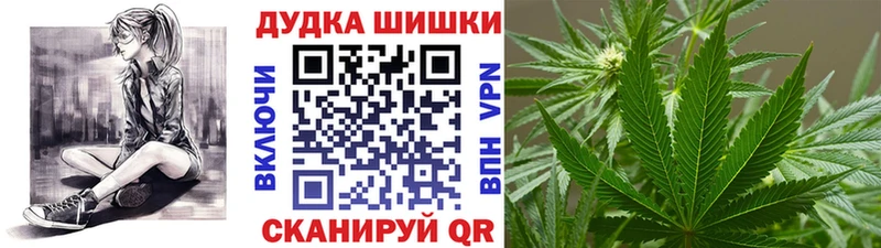 ссылка на мегу tor  Бирюч  Канабис сатива 